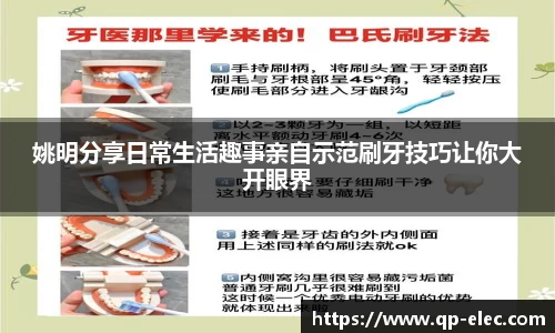 贝博BB官方网站