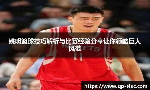 姚明篮球技巧解析与比赛经验分享让你领略巨人风范